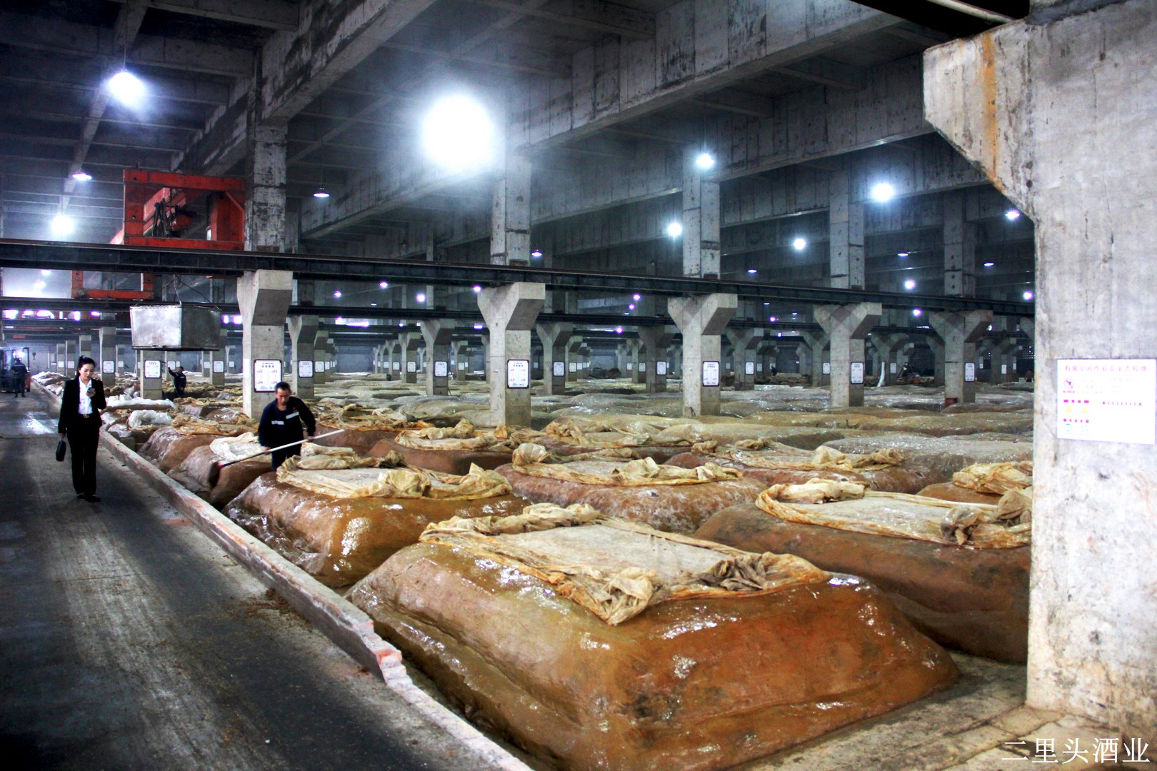 二里头酒业 (18)